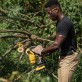 DeWALT DCMPS520N motorzāģis / zaru zāģis